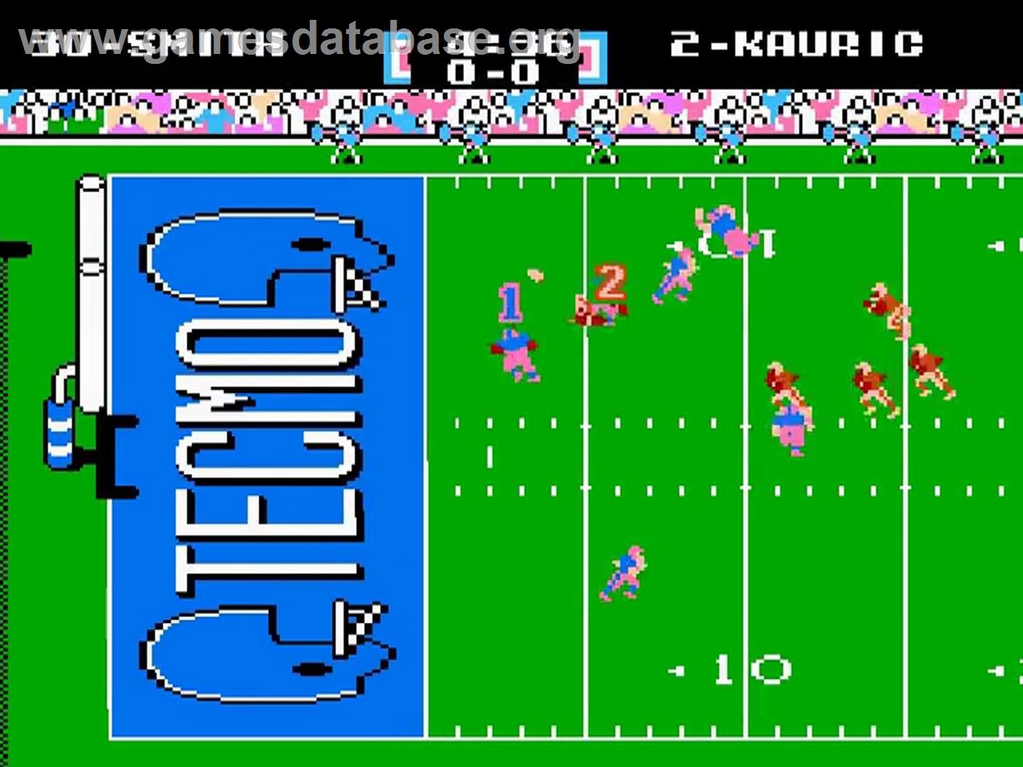 Tecmo Super Bowl - Nintendo NES - Artwork - In Game