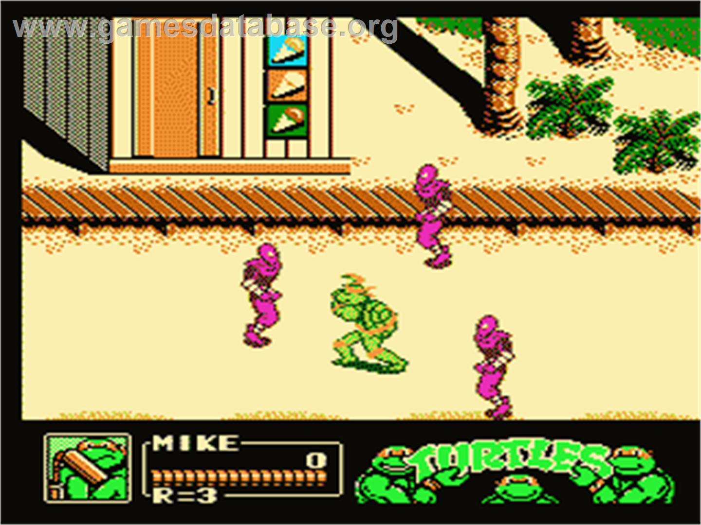 Teenage Mutant Ninja Turtles 3: The Manhattan Project - Nintendo NES - Artwork - In Game