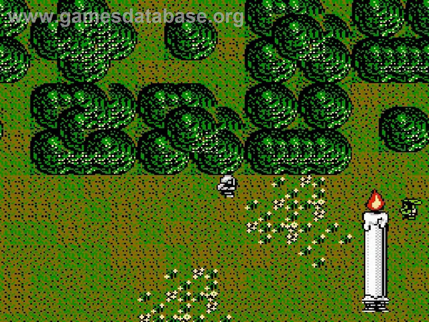 Times Of Lore - Nintendo NES - Artwork - In Game