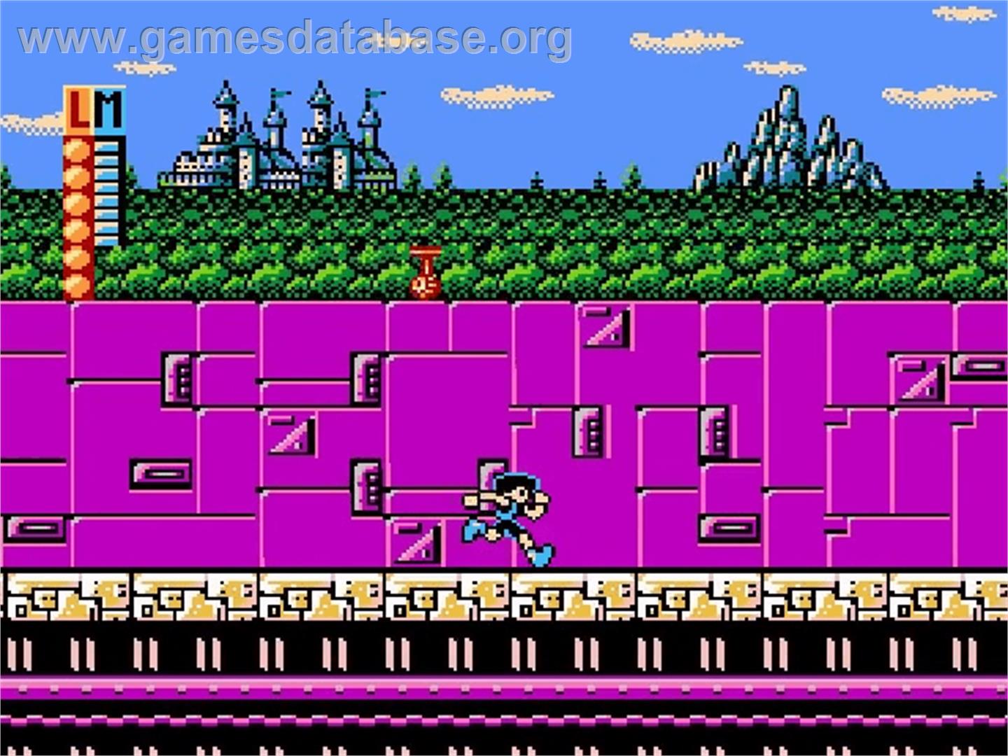 totally rad nes
