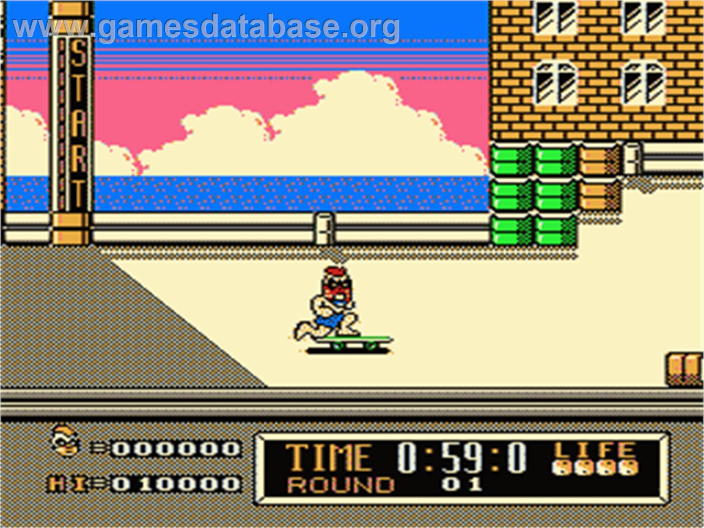 Town & Country Surf Designs: Wood & Water Rage - Nintendo NES - Artwork - In Game