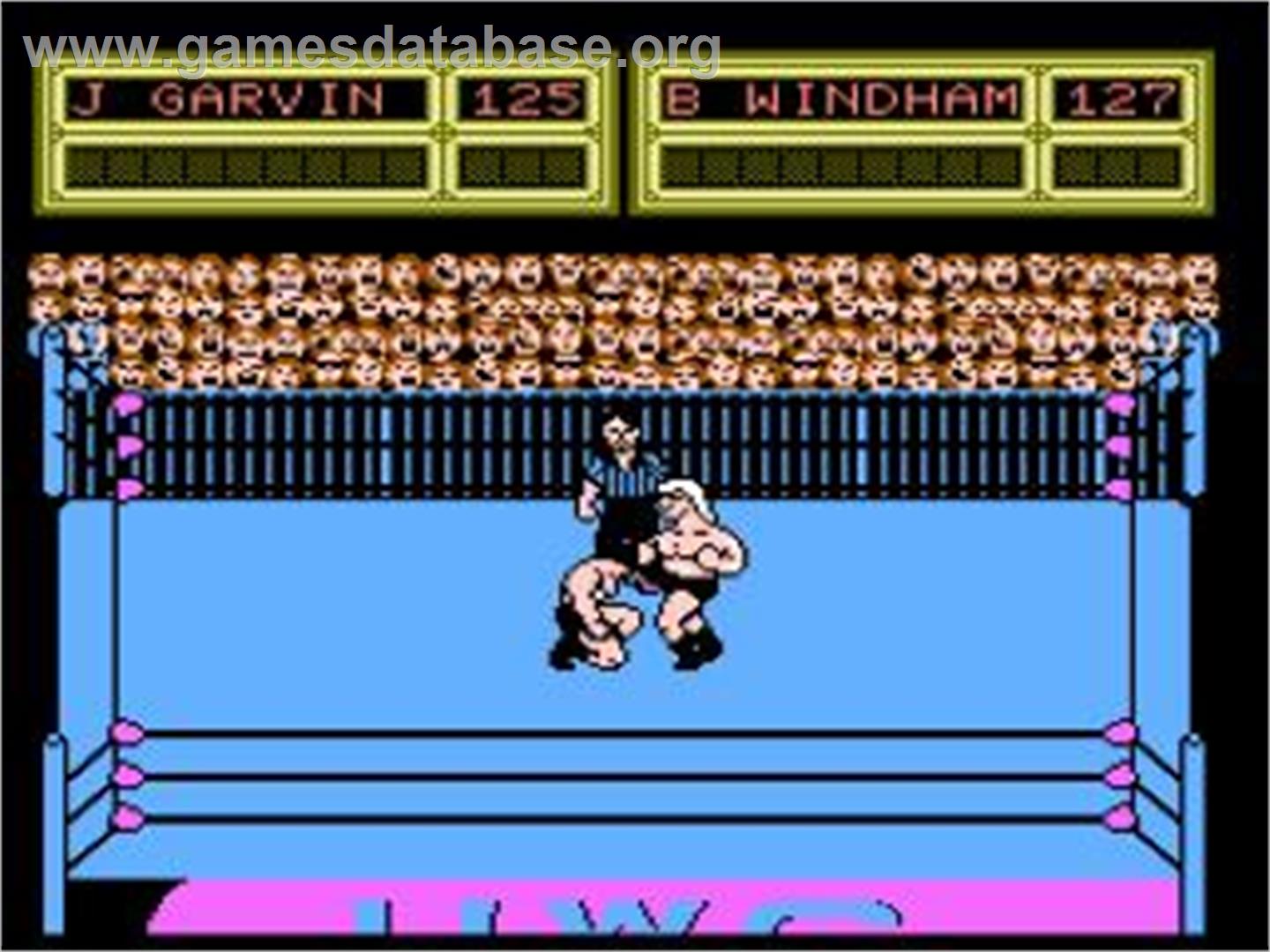 Uwc - Nintendo NES - Artwork - In Game