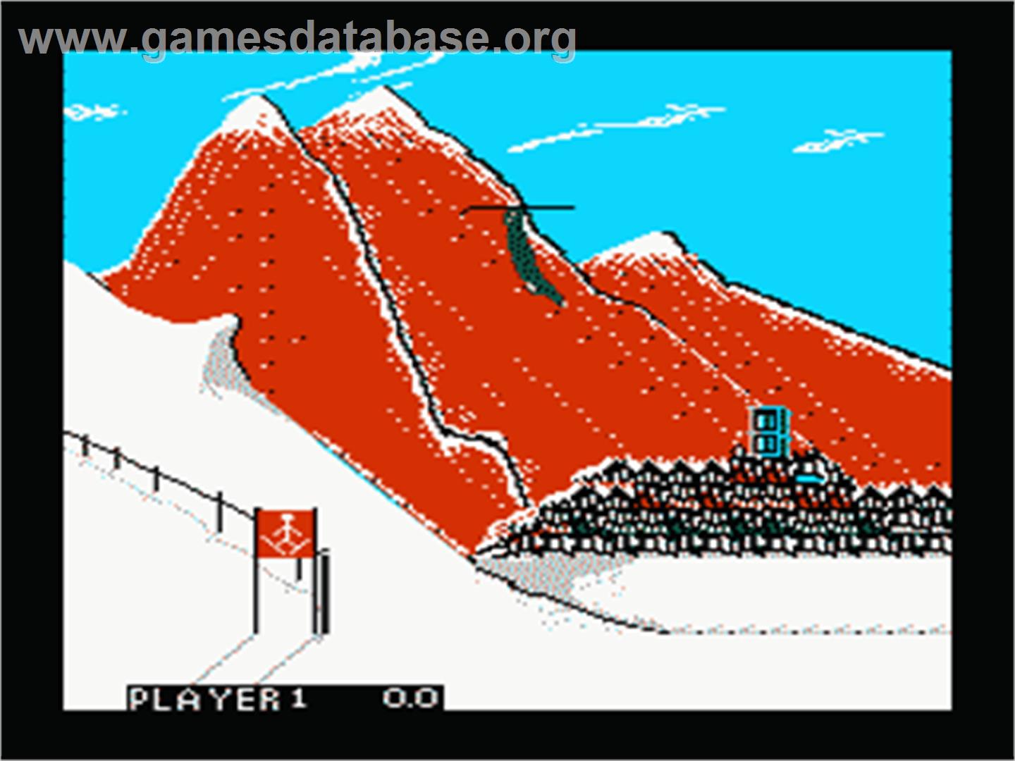 Winter Games - Nintendo NES - Artwork - In Game