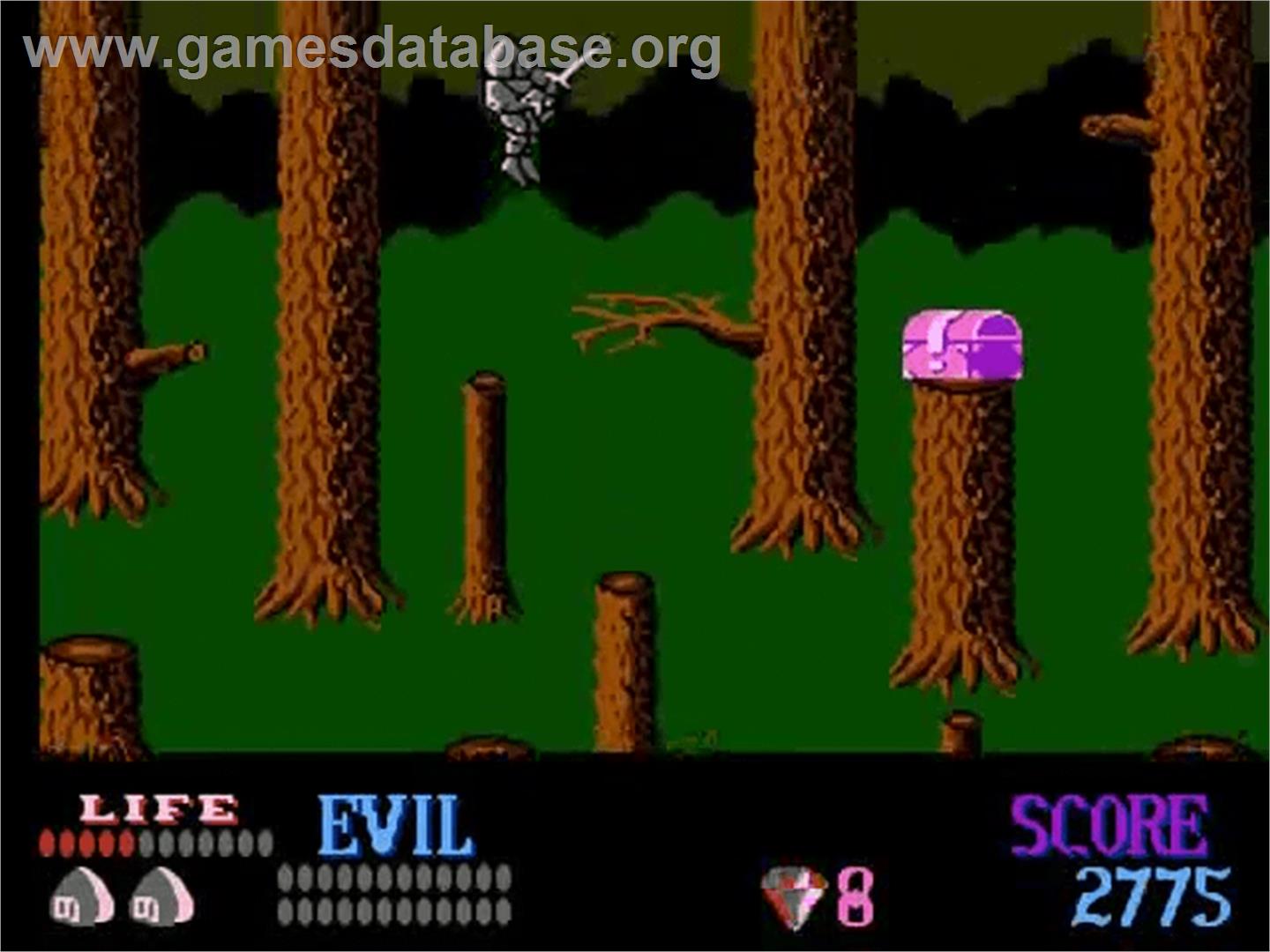 Wizards & Warriors - Nintendo NES - Artwork - In Game