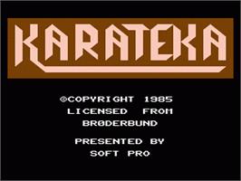 Title screen of Karateka on the Nintendo NES.