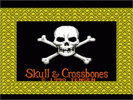 Title screen of Skull & Crossbones on the Nintendo NES.