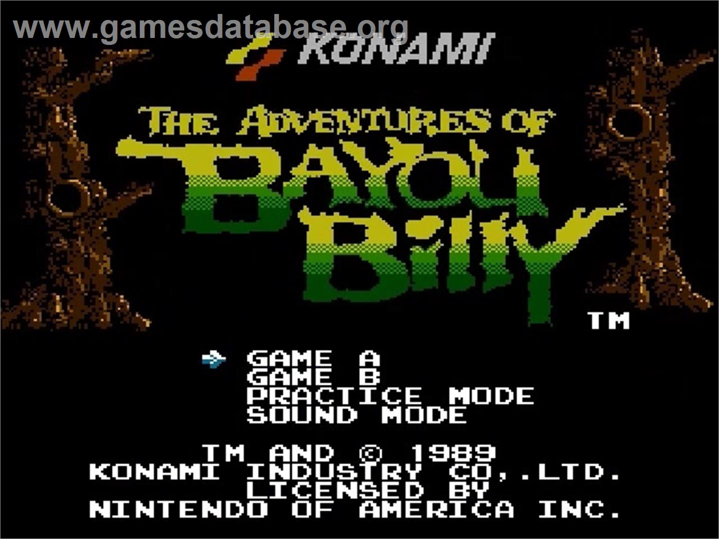 Adventures of Bayou Billy - Nintendo NES - Artwork - Title Screen