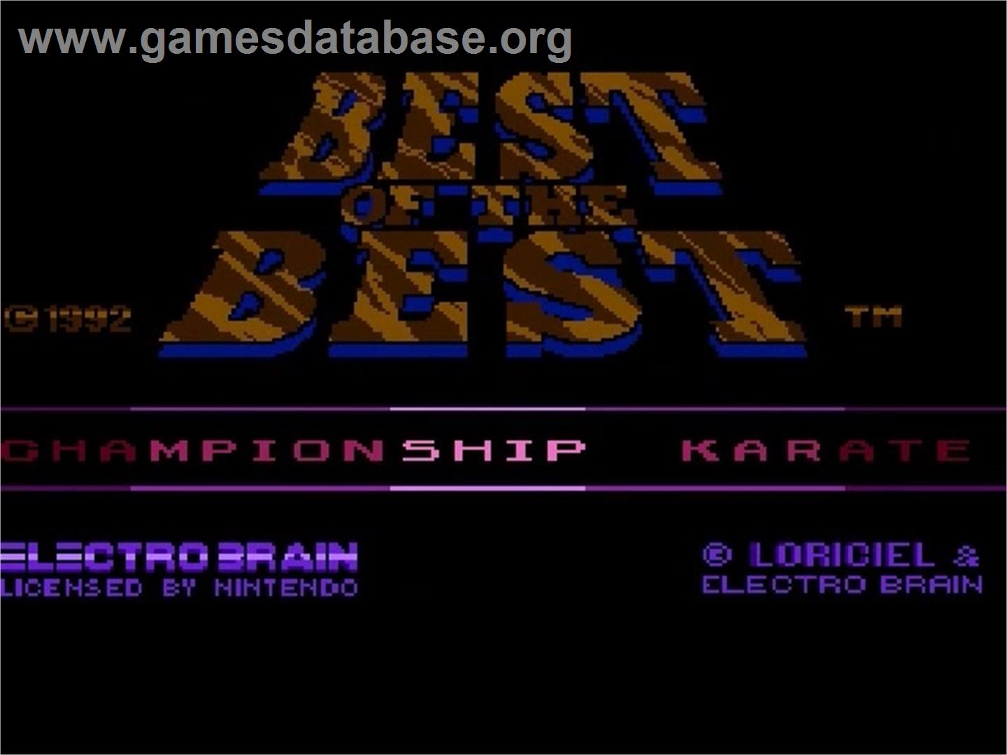 Best of the Best Championship Karate - Nintendo NES - Artwork - Title Screen