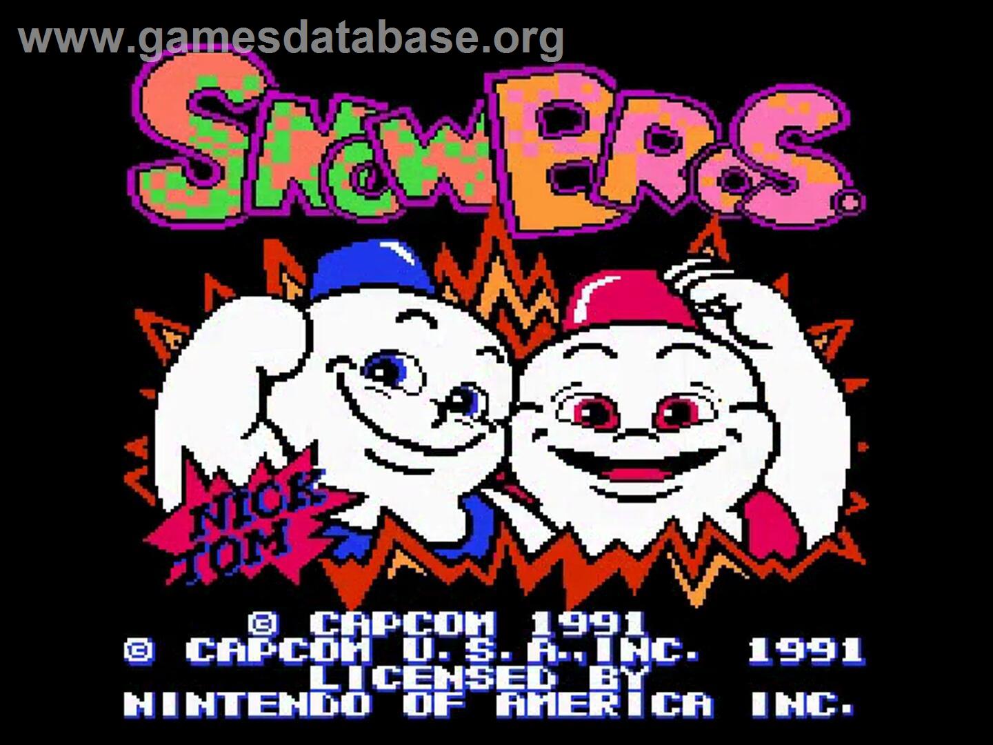 Snow Brothers - Nintendo NES - Artwork - Title Screen