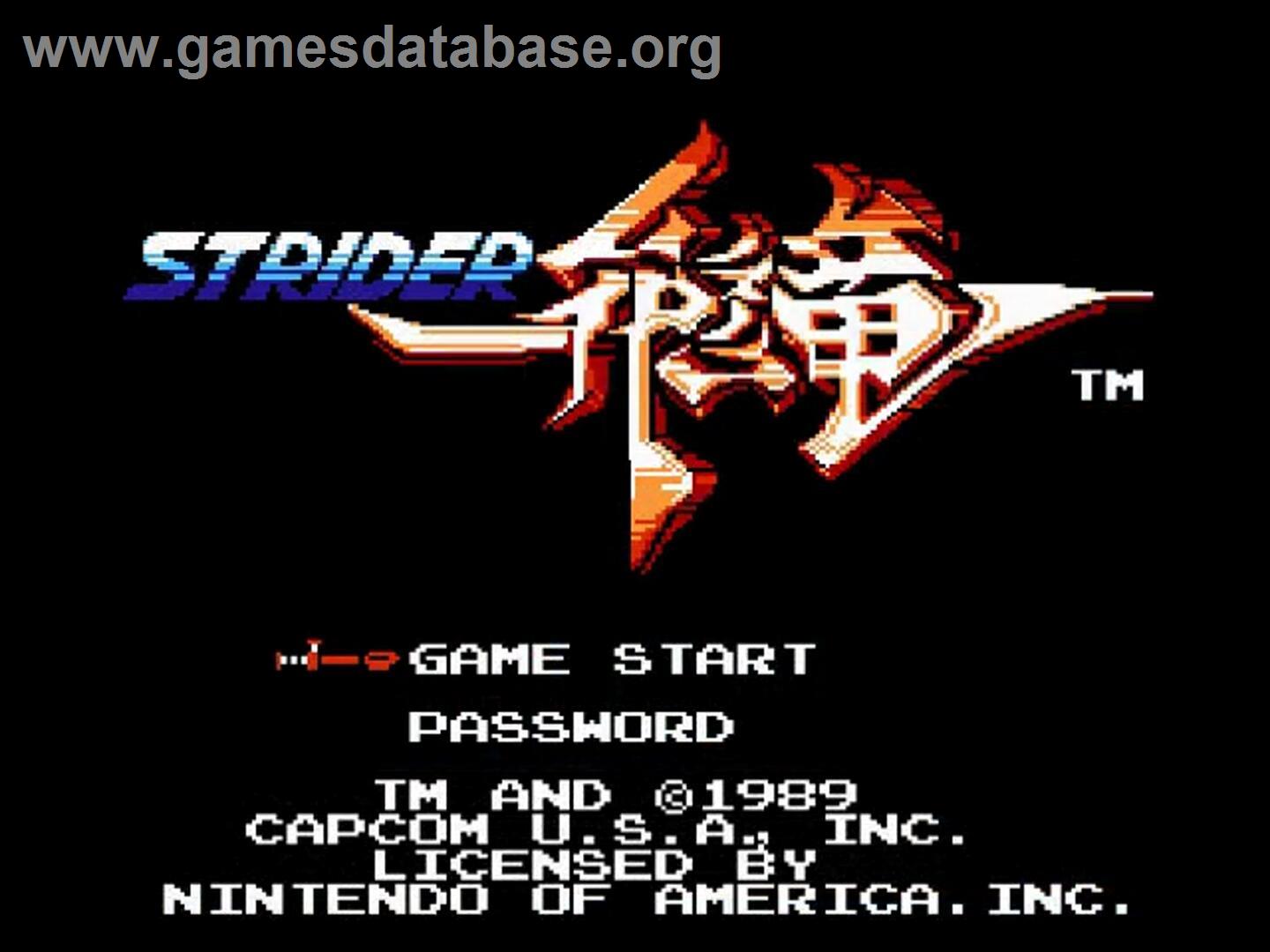 Strider - Nintendo NES - Artwork - Title Screen