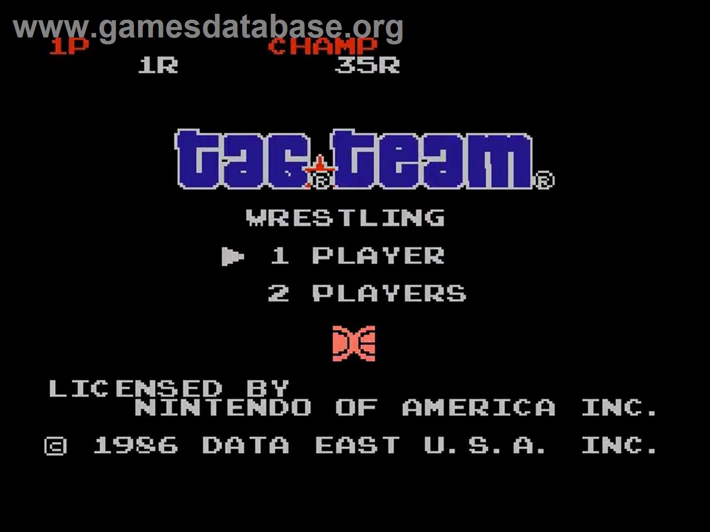Tag Team Wrestling - Nintendo NES - Artwork - Title Screen