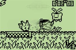 In game image of Pokemon Race Mini on the Nintendo Pokemon Mini.