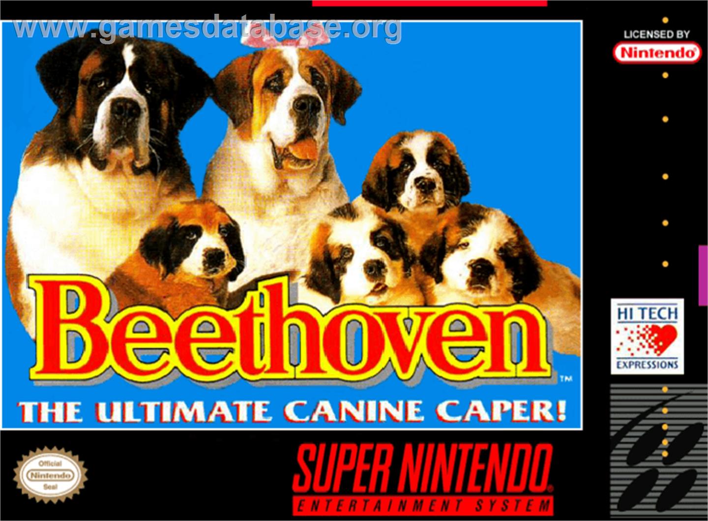 Beethoven's 2nd: The Ultimate Canine Caper! - Nintendo SNES - Artwork - Box