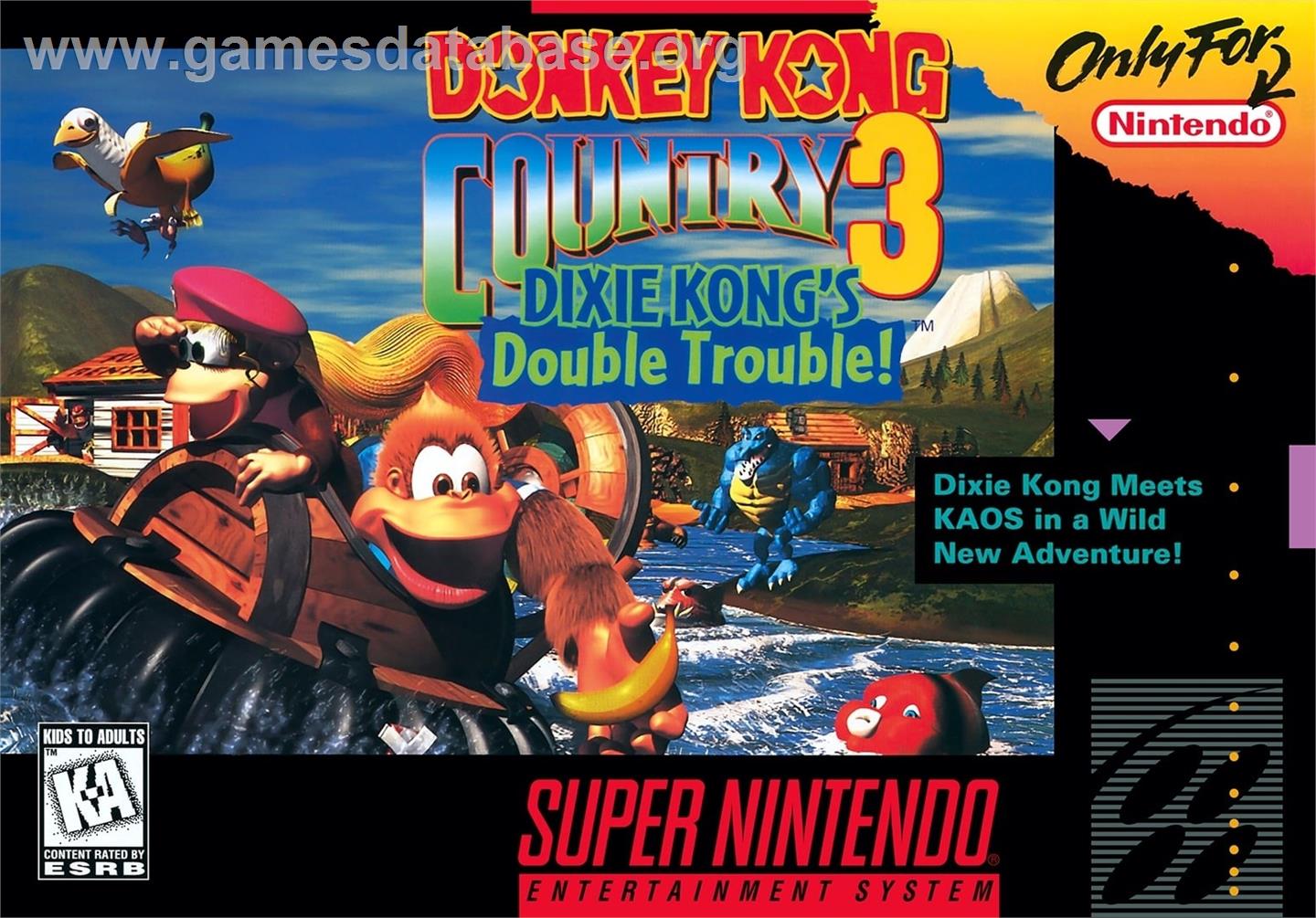 Donkey Kong Country 3 - Dixie Kong's Double Trouble - Nintendo SNES - Artwork - Box