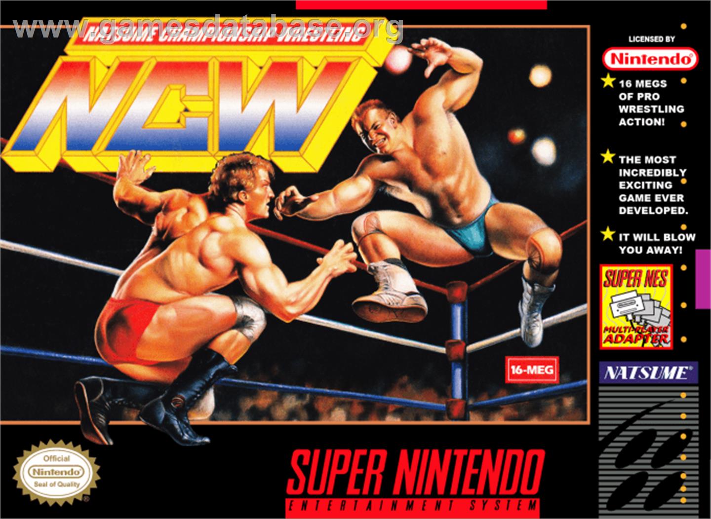 Natsume Championship Wrestling - Nintendo SNES - Artwork - Box