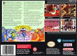 Box back cover for Battletoads In Battlemaniacs on the Nintendo SNES.