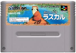 Cartridge artwork for Araiguma Rascal on the Nintendo SNES.