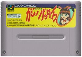 Cartridge artwork for Miracle Casino Paradise on the Nintendo SNES.