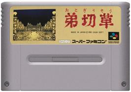 Cartridge artwork for Otogirisou on the Nintendo SNES.
