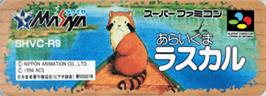 Top of cartridge artwork for Araiguma Rascal on the Nintendo SNES.