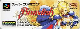Top of cartridge artwork for Brandish on the Nintendo SNES.