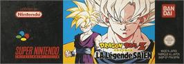 Top of cartridge artwork for Dragon Slayer: The Legend of Heroes on the Nintendo SNES.