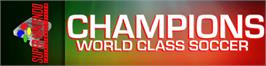 Arcade Cabinet Marquee for Champions World Class Soccer.