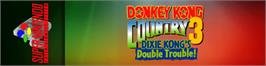 Arcade Cabinet Marquee for Donkey Kong Country 3: Dixie Kong's Double Trouble!.