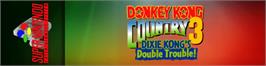 Arcade Cabinet Marquee for Donkey Kong Country 3 - Dixie Kong's Double Trouble.