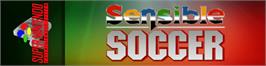 Arcade Cabinet Marquee for Sensible Soccer: European Champions.