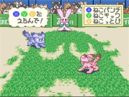 In game image of Asameshimae Nyanko on the Nintendo SNES.