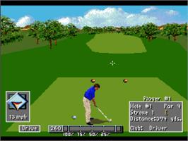 In game image of PGA European Tour on the Nintendo SNES.