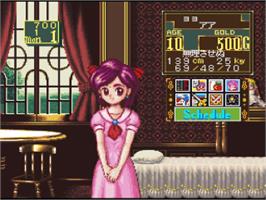In game image of Princess Maker: Legend of Another World on the Nintendo SNES.
