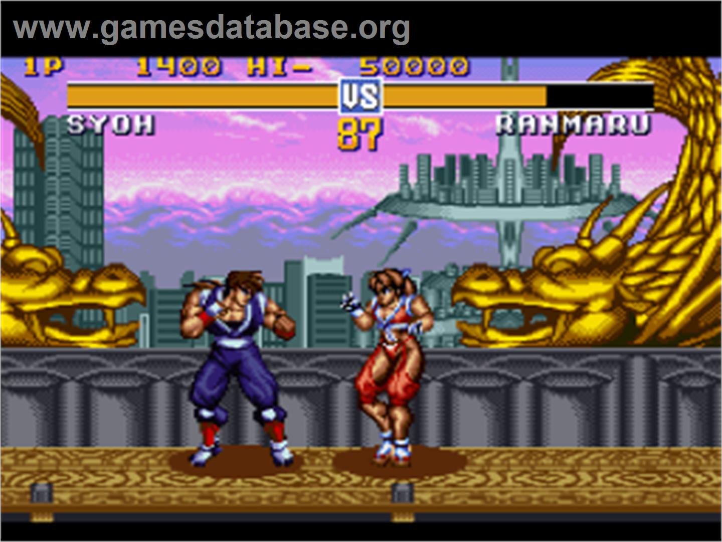 Battle Master: Kyuukyoku no Senshi-tachi - Nintendo SNES - Artwork - In Game