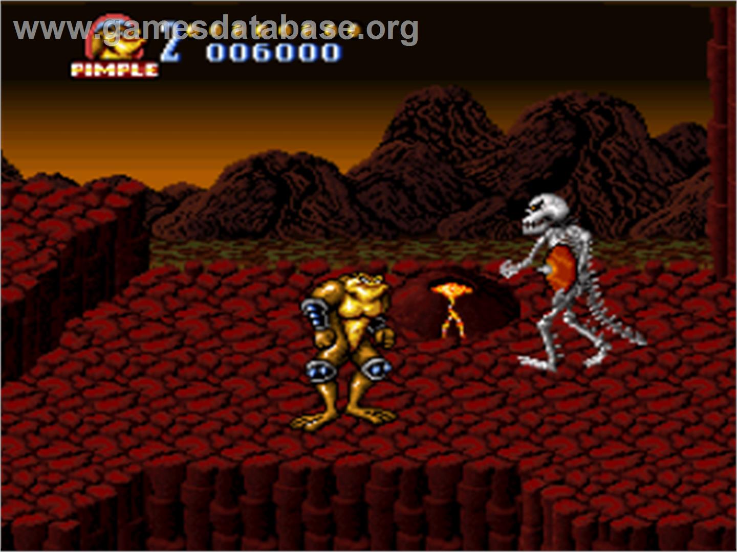 Battletoads In Battlemaniacs - Nintendo SNES - Artwork - In Game
