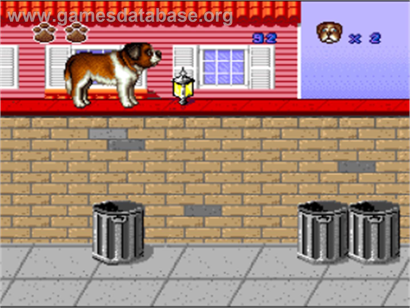 Beethoven's 2nd: The Ultimate Canine Caper! - Nintendo SNES - Artwork - In Game