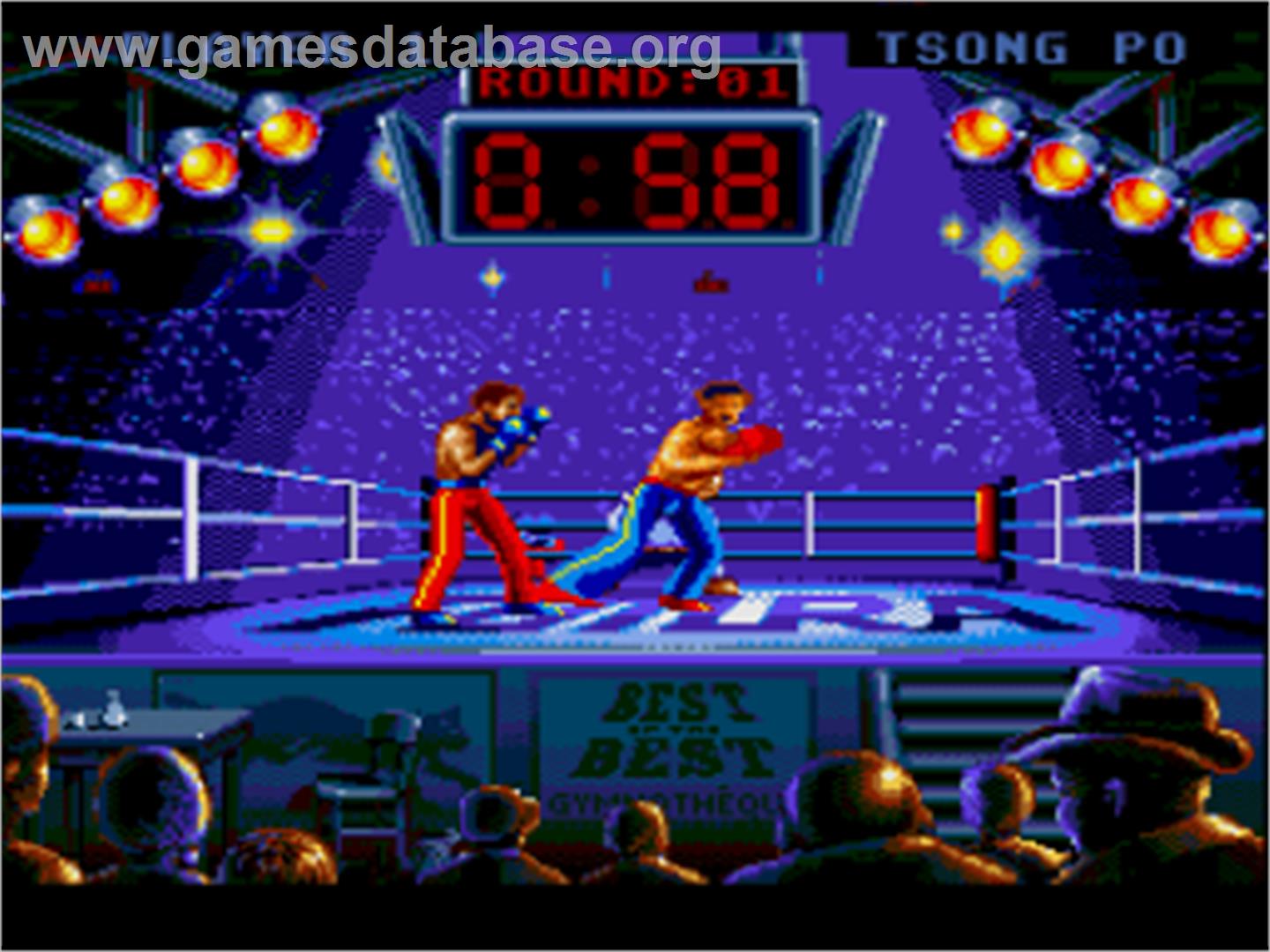 Best of the Best Championship Karate - Nintendo SNES - Artwork - In Game
