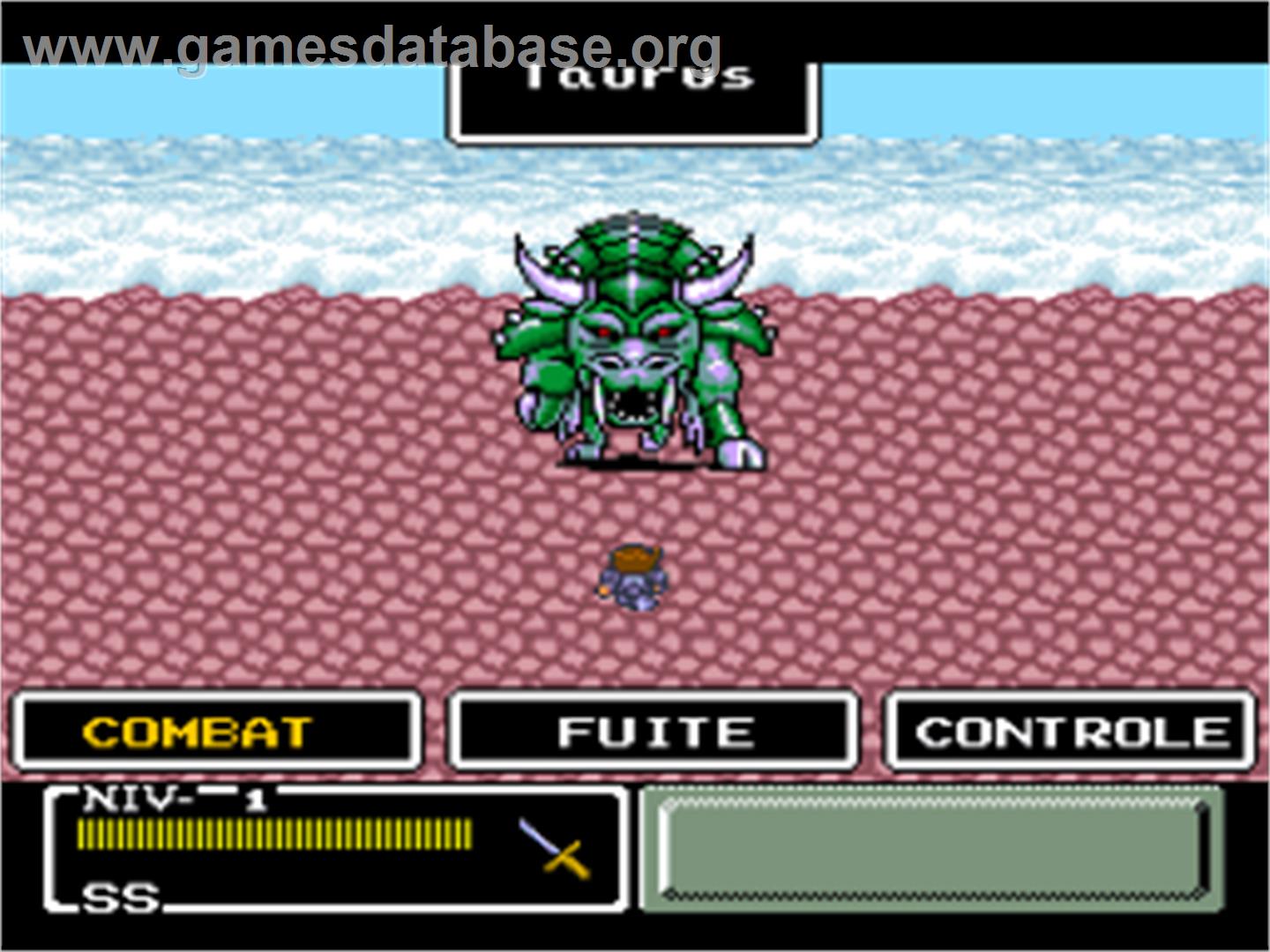Final Fantasy: Mystic Quest - Nintendo SNES - Artwork - In Game
