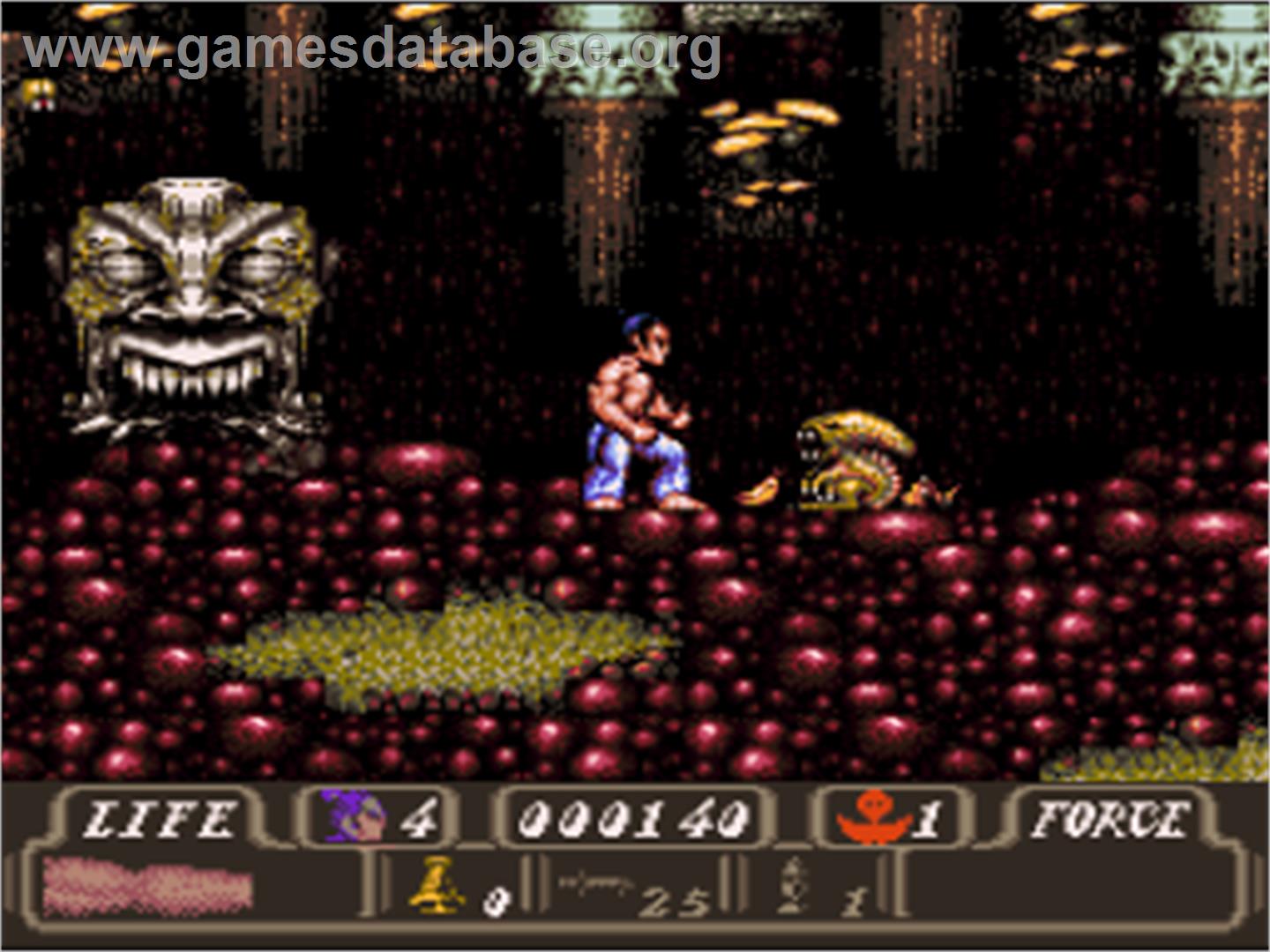 First Samurai - Nintendo SNES - Artwork - In Game