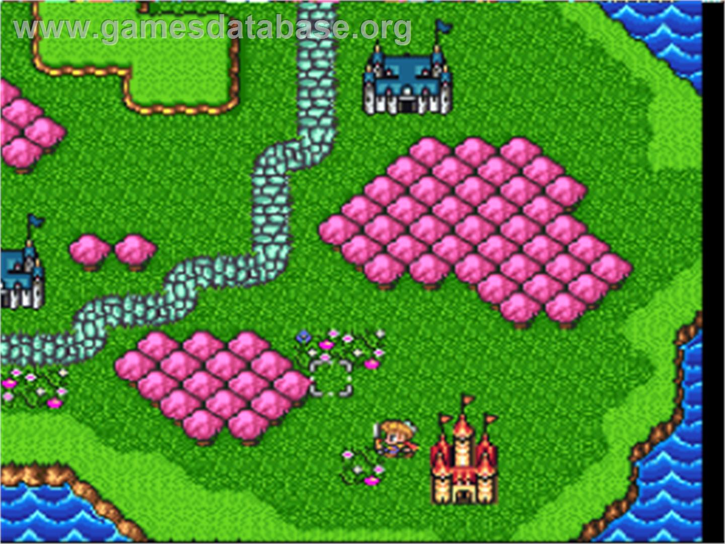Hanjuku Eiyuu - Aa Sekai Yo Hanjuku Nare..!! - Nintendo SNES - Artwork - In Game