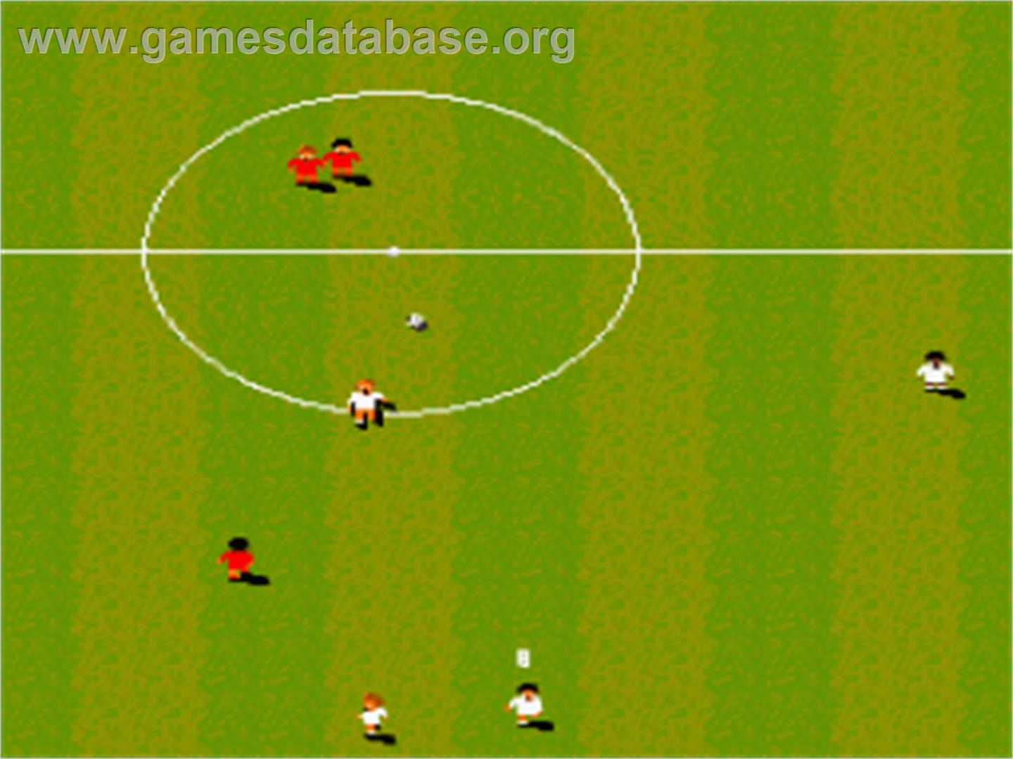 International Sensible Soccer - World Champions - Nintendo SNES - Artwork - In Game