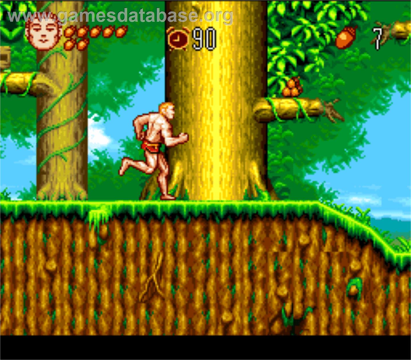 Jungle No Ouja Tar-chan - Sekaimanyuu Daikakutou No Maki - Nintendo SNES - Artwork - In Game