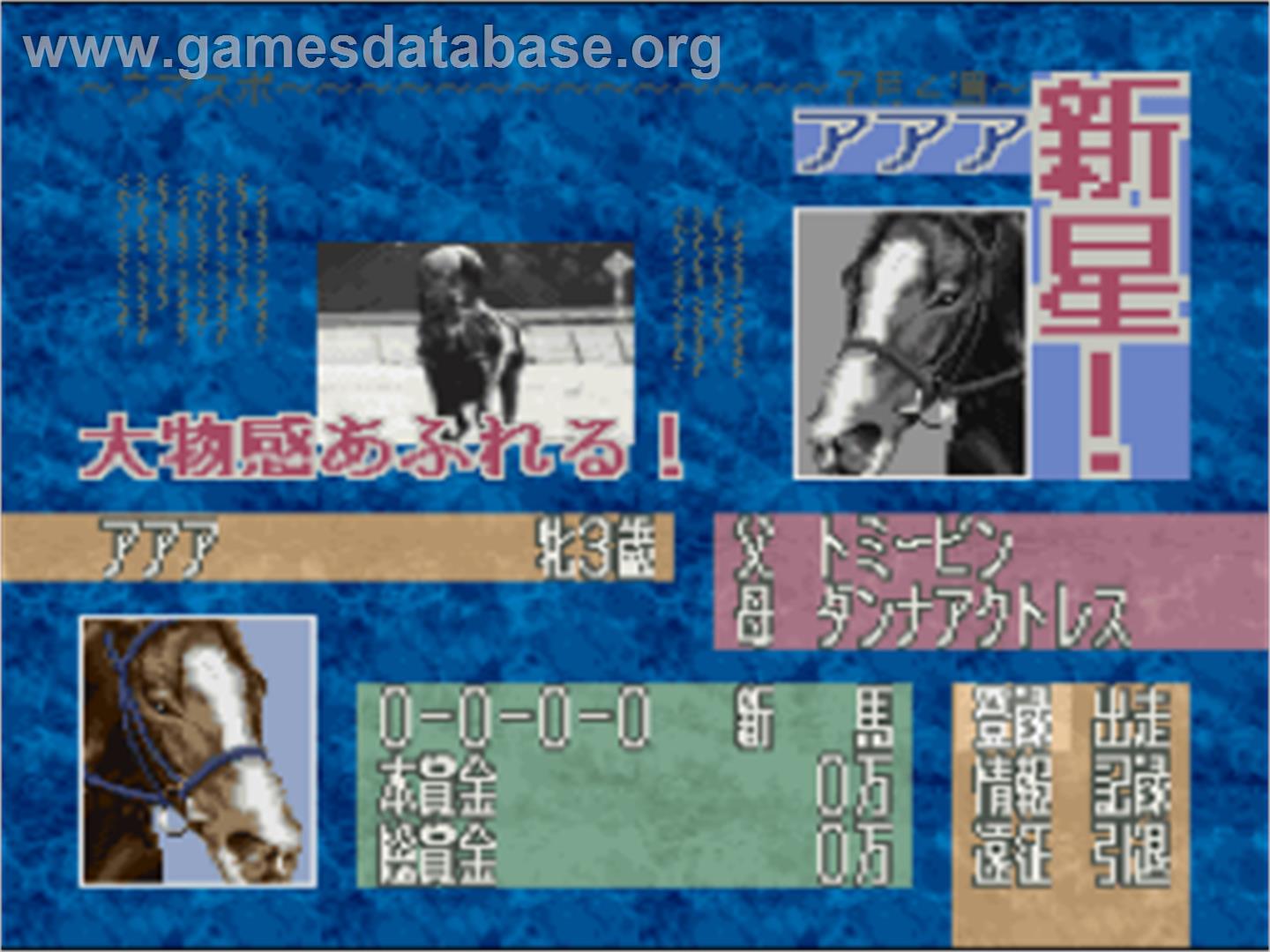 Leading Jockey 2 - Nintendo SNES - Artwork - In Game
