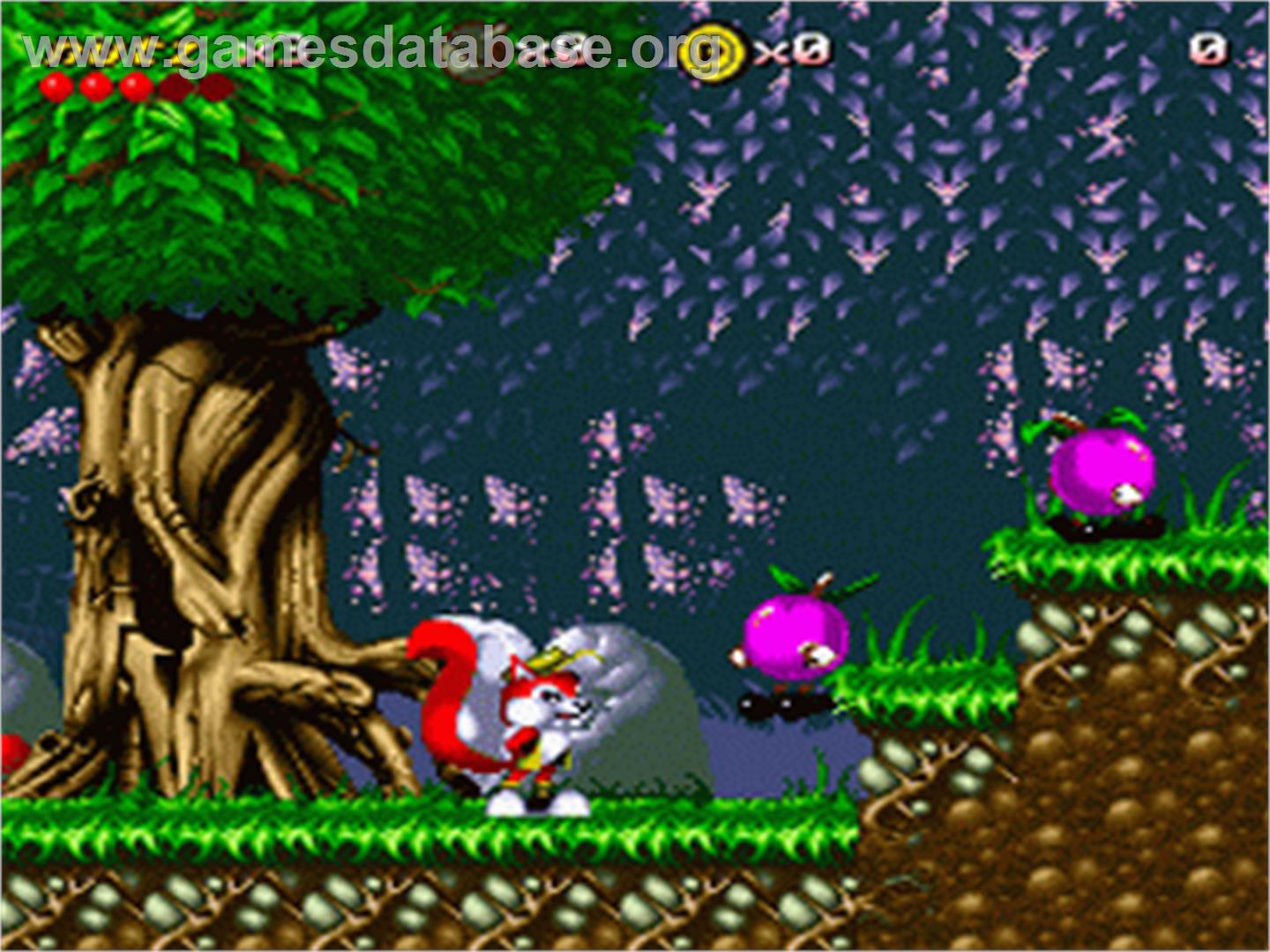 Mr. Nutz - Nintendo SNES - Artwork - In Game