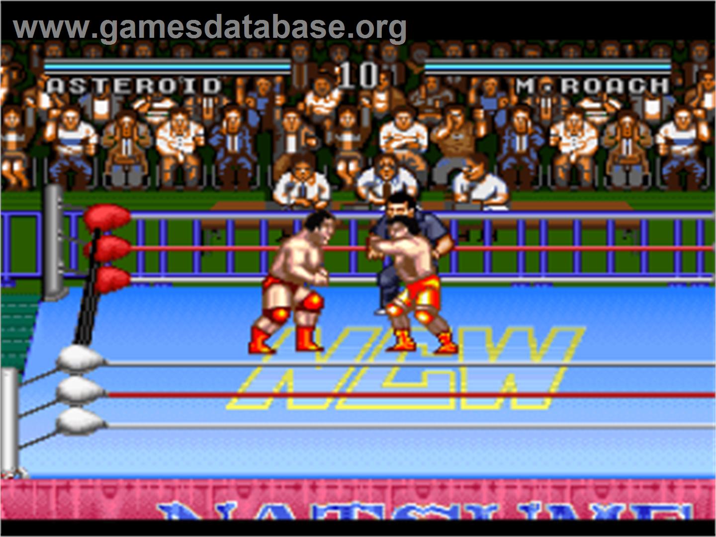 Natsume Championship Wrestling - Nintendo SNES - Artwork - In Game