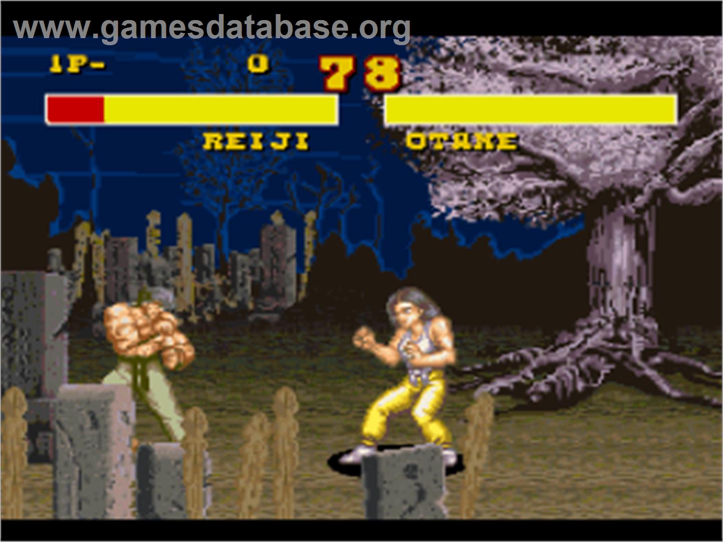 Power Instinct - Nintendo SNES - Artwork - In Game