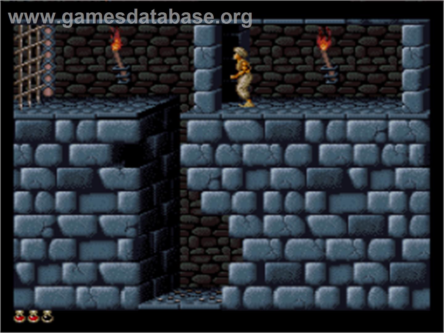 Prince of Persia - Nintendo SNES - Artwork - In Game
