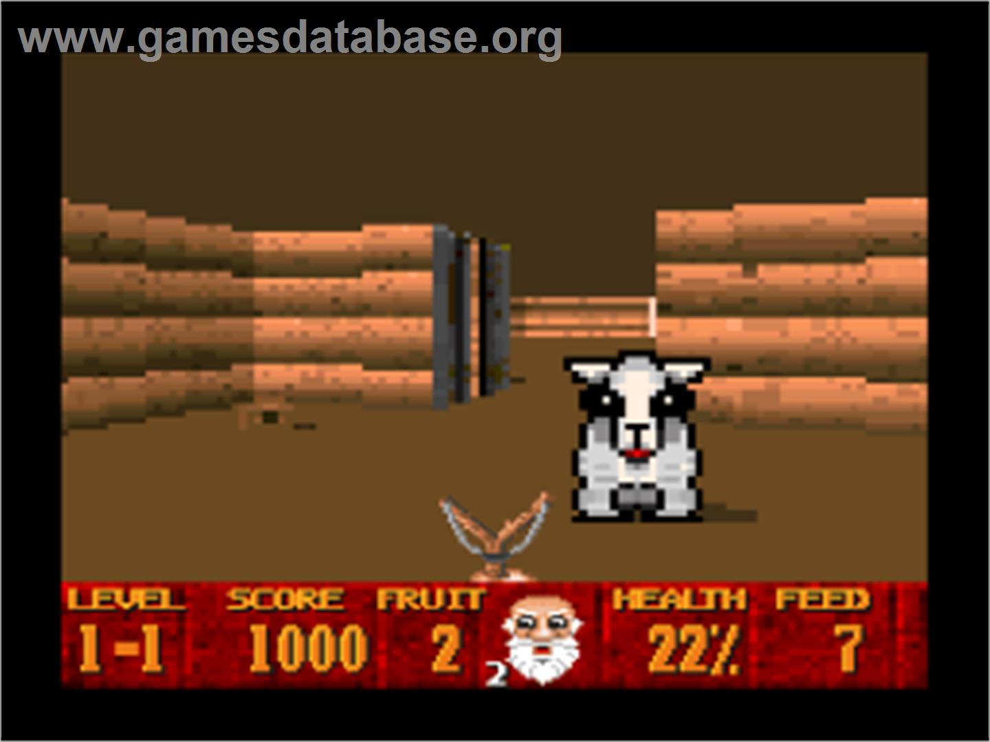Super Noah's Ark 3-D - Nintendo SNES - Artwork - In Game