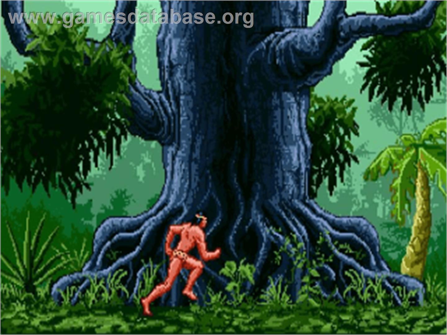 Tarzan - Lord of the Jungle - Nintendo SNES - Artwork - In Game