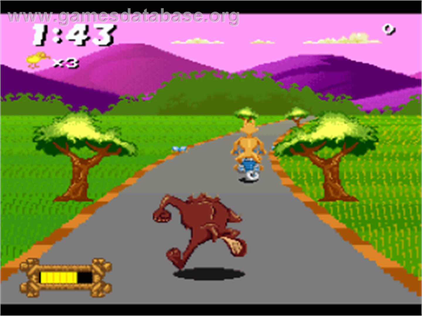 Taz-mania - Nintendo SNES - Artwork - In Game